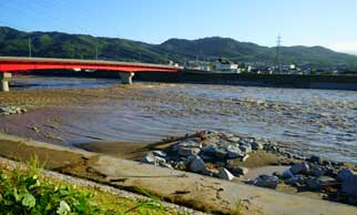 夾雑物が多い河川
